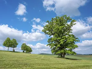 Cumulus Clouds Blue Sky Drucke: Landscape in the Thuringian Rhon