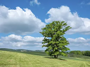 Natural Monument Thuringia Drucke: Landscape in the Thuringian Rhon