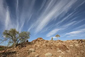Namibia Rock Formations Drucke: Landscape with trees and clouds