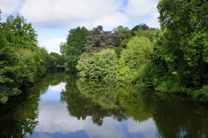 European Landscape Photo Drucke: Landscape with trees by the river Ems