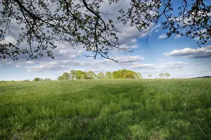 Uninhabited Countryside Scenes Drucke: Landscape with trees in spring