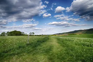 Uninhabited Countryside Scenes Drucke: Landscape with trees in spring