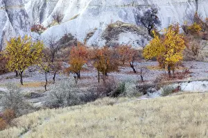 Tufa Formations Drucke: Landscape with tufa formations