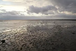 Northern Germany Beach Drucke: Landscape at the water