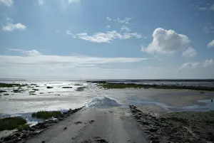 Northern Germany Beach Drucke: Landscape at the water