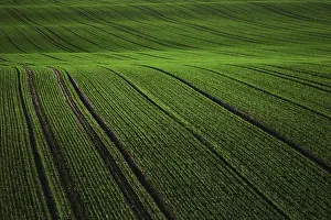 Franconia Scenery Drucke: Landschaft, Coburg