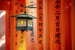 Shinto Shrine Architecture Drucke: Lantern between red torii gates