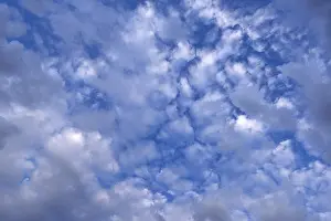 Full Frame Cloudy Sky Drucke: Large altocumulus clouds, Germany