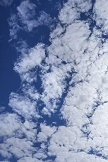 Nice Weather Central Europe Drucke: Large altocumulus clouds, Germany