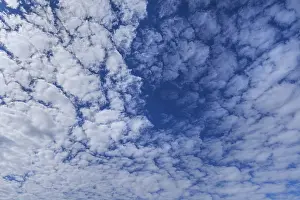 Nice Weather In Germany Drucke: Large altocumulus clouds, Germany