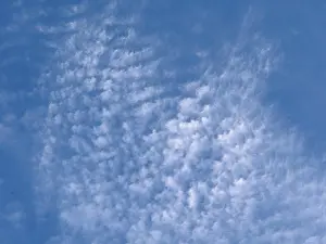 Cirrocumulus Clouds Drucke: Large cloud field of cirrocumulus clouds high cumulus clouds