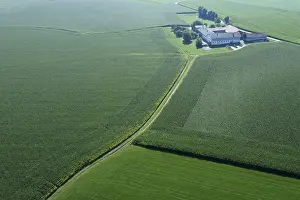 Agricultural Landscape Germany Drucke: Large corn fields surround a farm