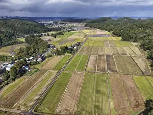 Cloudy Sky Photography Drucke: A large field of crops is shown from above