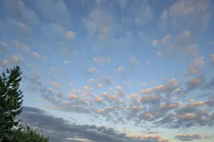 Cirrocumulus Clouds Drucke: Large fleecy clouds (Altocumulus)