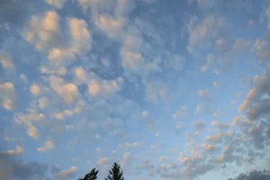Overcast Sky In Germany Drucke: Large fleecy clouds (Altocumulus)