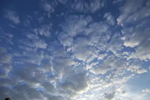 European Cloudy Skies Drucke: Large fleecy clouds (Altocumulus)