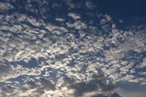 Cloudy Sky Germany Drucke: Large fleecy clouds (Altocumulus)