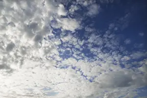 Daytime Exterior Views Germany Drucke: Large fleecy clouds, altocumulus, Germany