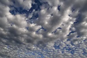 Cloud Formation In Europe Drucke: Large fluffy clouds (Altocumulus)