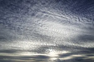 Atmospheric Weather Conditions Drucke: Large fluffy clouds, altocumulus