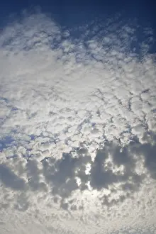 Cirrocumulus Cloud Formation Drucke: Large fluffy clouds, altocumulus clouds