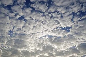 Clouds Over Middle Europe Drucke: Large fluffy clouds, Altocumulus, Germany