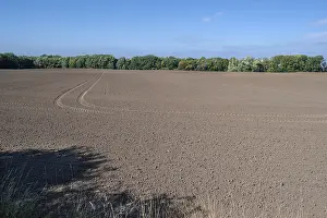 Uninhabited German Villages Drucke: Large, harrowed fields, Othenstorf