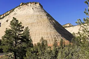 Natural Reserve USA Drucke: Large impressive rock with pine trees in the foreground