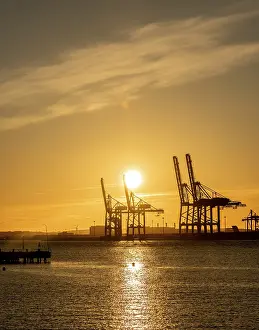 Container Harbor Drucke: Large ship to shore container cranes at sunset
