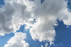 Cumulus Humilis Cloud Drucke: Large white clouds against a blue sky