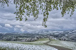 Southern Germany Landscape Drucke: Late onset of winter in spring Kandel