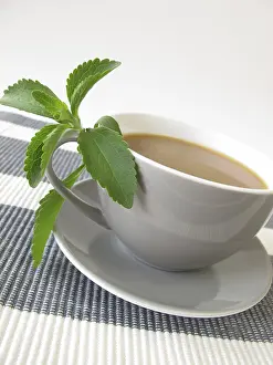 Weight Loss Dieting Drucke: Latte with stevia