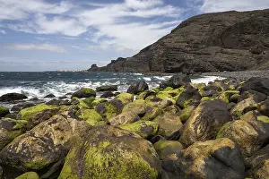 Canary Island Coastal Landscape Drucke: Lava rocks, covered in algae, Playa de Guayedra