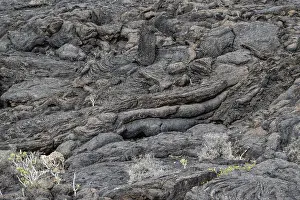 Uninhabited Spanish Islands Drucke: Lava structures, Costa Teguise