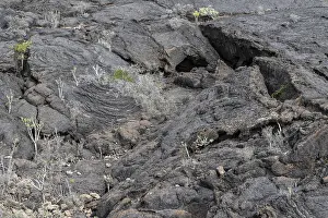 Uninhabited Canarian Islands Drucke: Lava structures, Costa Teguise