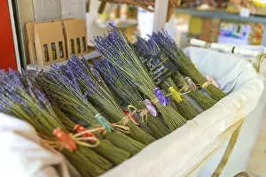 Fragrant Plant Drucke: Lavender bundle