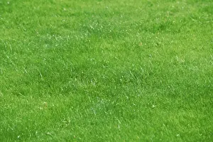 Double Exposure Photography Drucke: Lawn