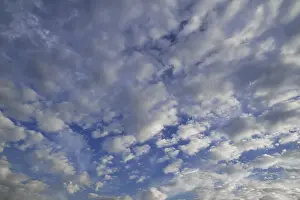 Daytime Cloud Formations Drucke: Layer of fluffy clouds, altocumulus clouds