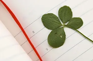 European Agriculture Drucke: Four Leaf Clover and New Day