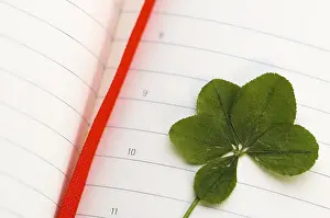 Four Leaf Clover Symbol Drucke: Four Leaf Clover and New Day
