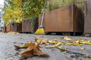 Southern Germany Fall Season Drucke: Leaves are falling from the trees