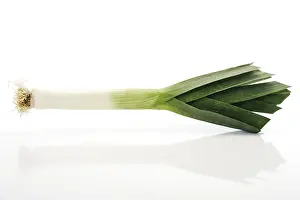 Indoor Plant Photography Drucke: Leek