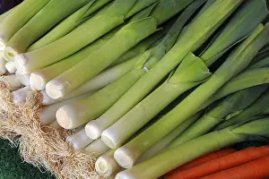 Deserted Garden Drucke: Leek