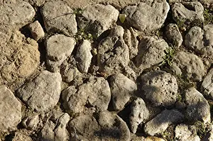Deserted Stone Wall Drucke: Legesteinmauer
