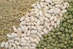 Vitamin Rich Vegetables Drucke: Legumes