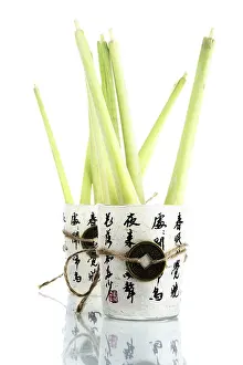 Nutrition Facts Drucke: Lemon grass