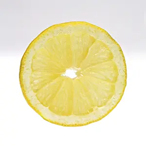 Fresh Citrus Fruit Drucke: Lemon slice, closeup, cutout