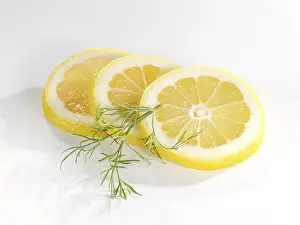 Lemon Slices Drucke: Lemon slices with Dill