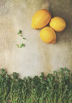 Natural Medicinal Plants Drucke: Lemon thyme, laid out on the table