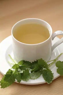 Kitchen Herb Spice Drucke: Lemonbalmtea